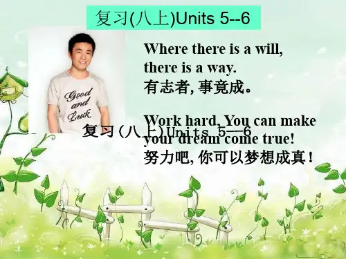 人教英语八年级上册 复习Units 5--6   (共28张PPT)