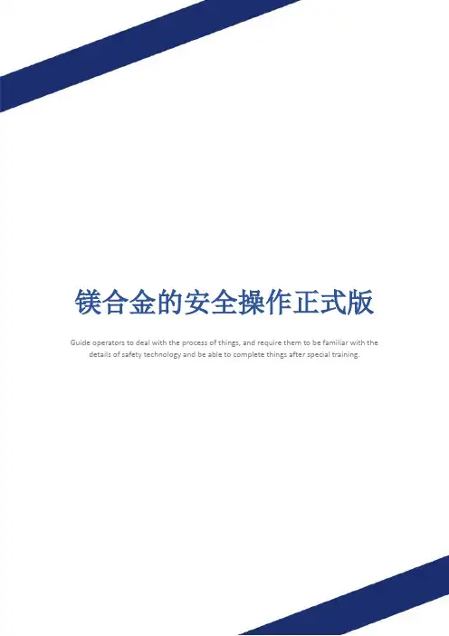 镁合金的安全操作正式版