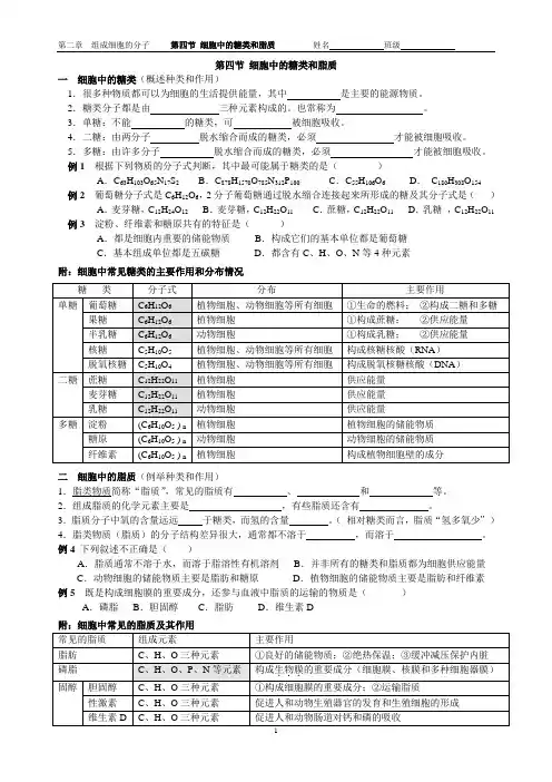 第四节 细胞中的糖类和脂质(学案)