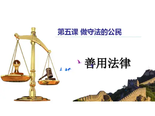 (核心素养目标) 善用法律 课件(共31张PPT)-2024-2025学年统编版道德与法治八年级上册