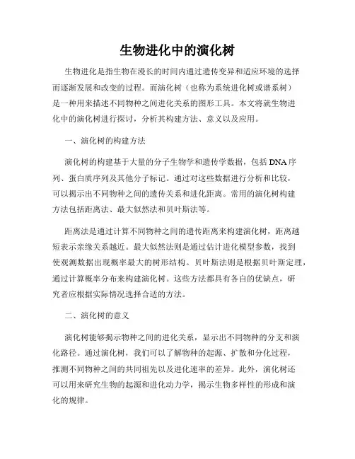 生物进化中的演化树