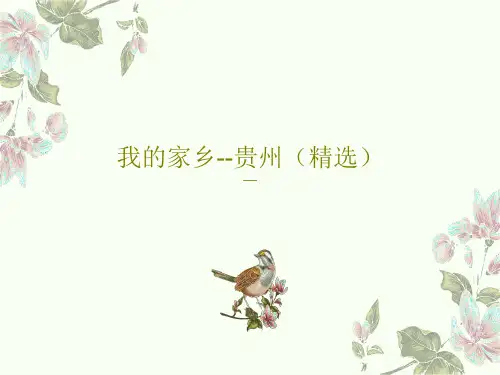 我的家乡--贵州(精选)共31页文档