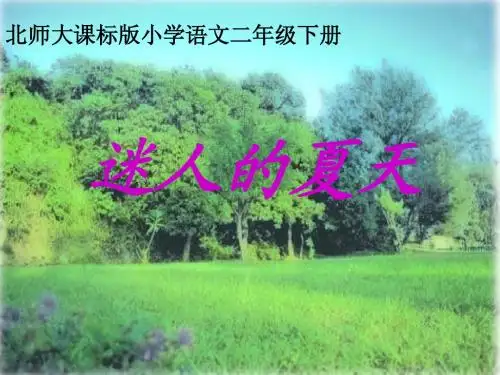 《迷人的夏天》