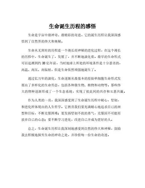生命诞生历程的感悟