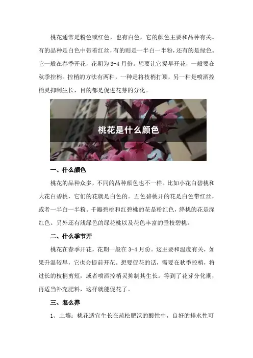 桃花是什么颜色,桃花什么季节开花