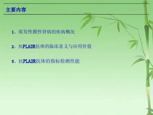 抗磷脂酶A2受体抗体(共24张PPT)