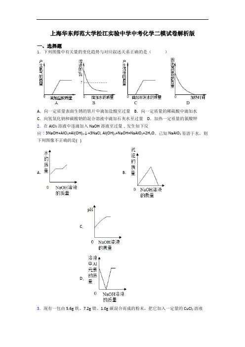 上海华东师范大学松江实验中学中考化学二模试卷解析版