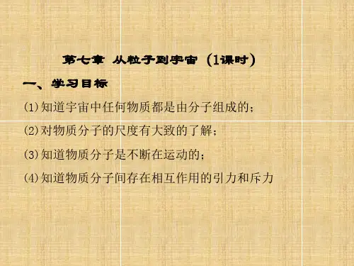 中考物理复习--从粒子到宇宙