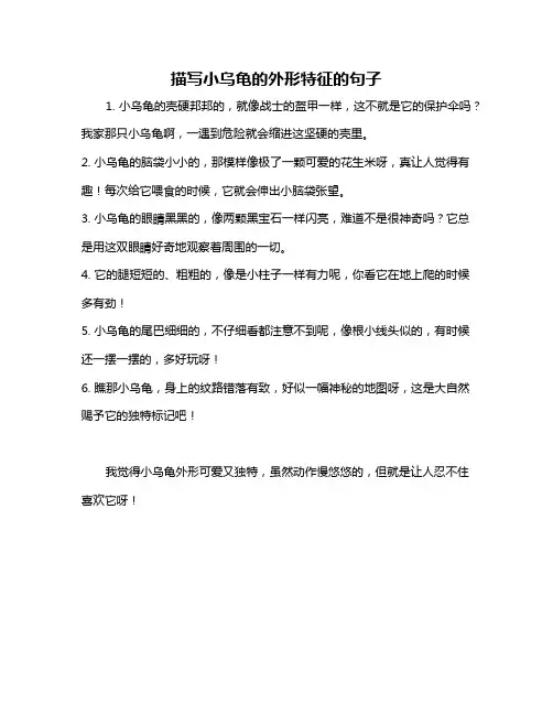 描写小乌龟的外形特征的句子