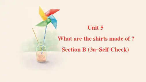 Unit5SectionB(3a_SelfCheck)课件人教版英语九年级全册