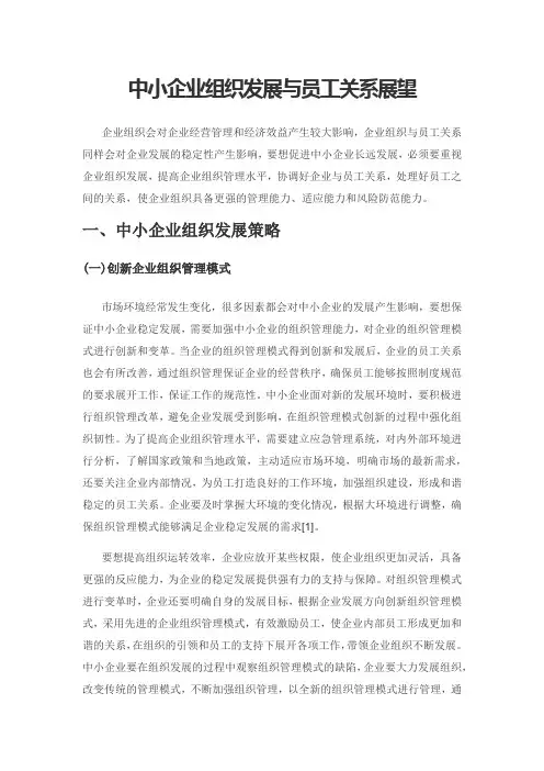 中小企业组织发展与员工关系展望