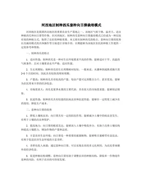 河西地区制种西瓜套种向日葵栽培模式