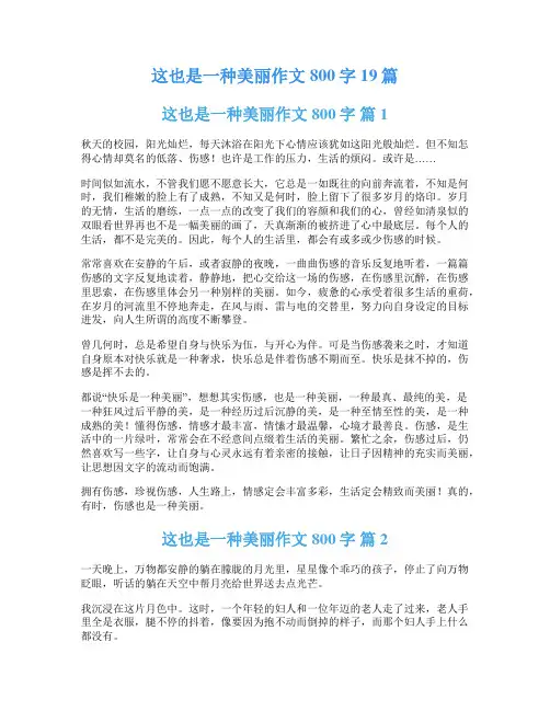 这也是一种美丽作文800字19篇