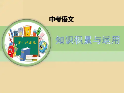 中考语文 病句的辨析与修改