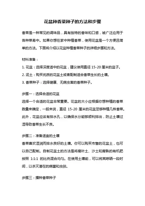 花盆种香菜种子的方法和步骤