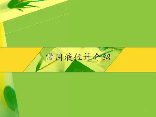 常见液位计介绍 ppt课件