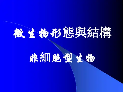 微生物理论课件：非细胞型生物