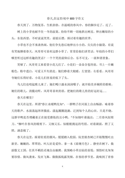 春天,在这里!初中800字作文