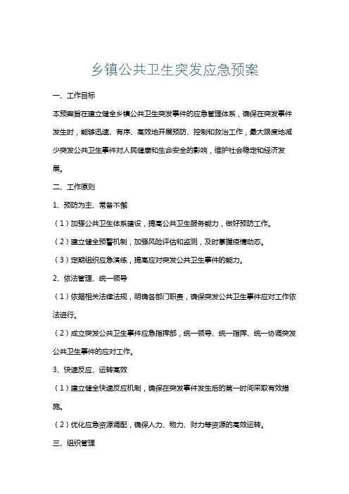 乡镇公共卫生突发应急预案