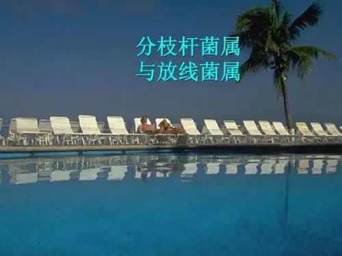 第十章分枝杆菌