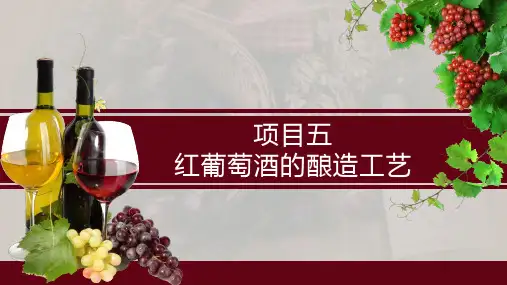 葡萄酒酿造技术(果酒生产技术课件)