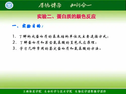 蛋白质的颜色反应