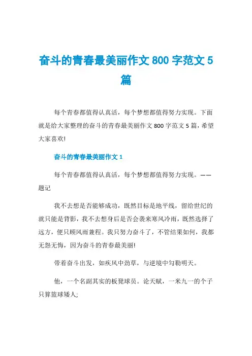 奋斗的青春最美丽作文800字范文5篇 2
