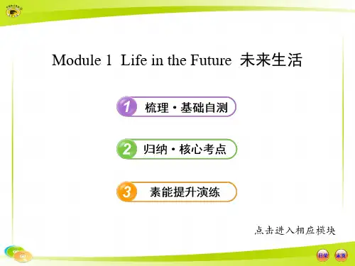 必修4  Module 1外研社高中英语必修四单元1各知识点