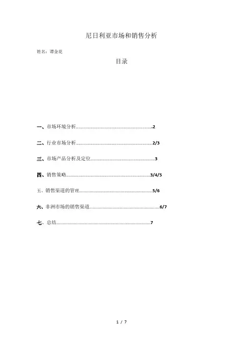 尼日利亚市场和销售分析