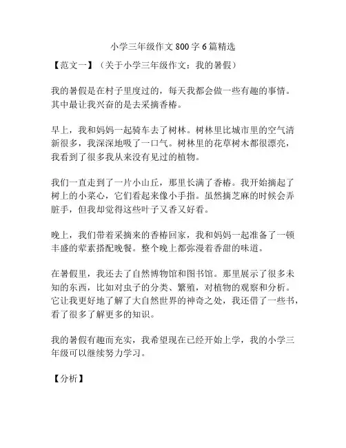 小学三年级作文800字6篇精选