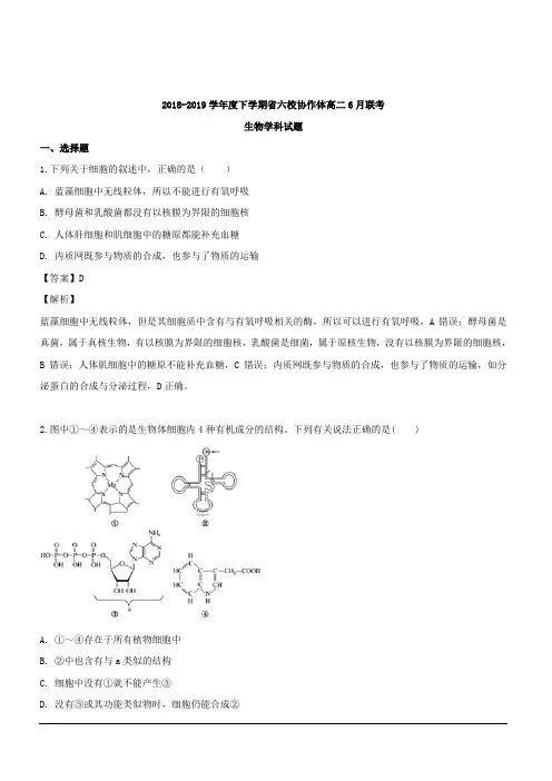 辽宁省六校协作体2018-2019学年高二下学期期中考试生物试题 含解析