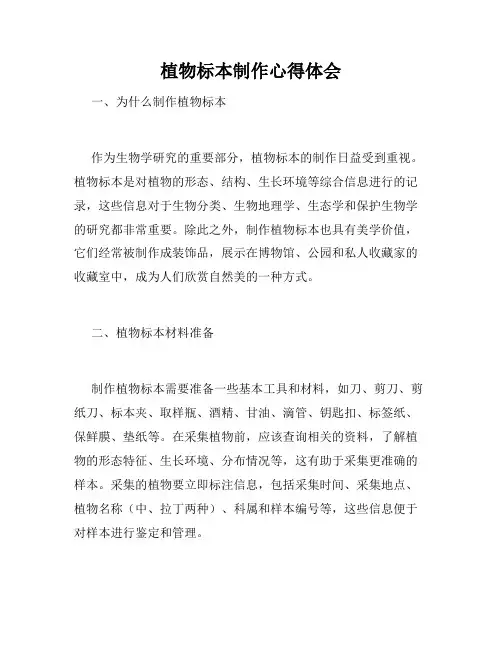 植物标本制作心得体会