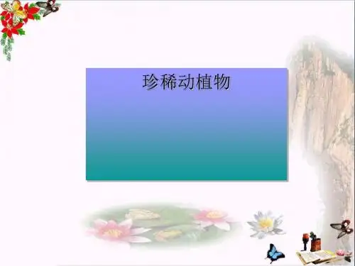 六年级科学上册珍稀动植物ppt课件6青岛版