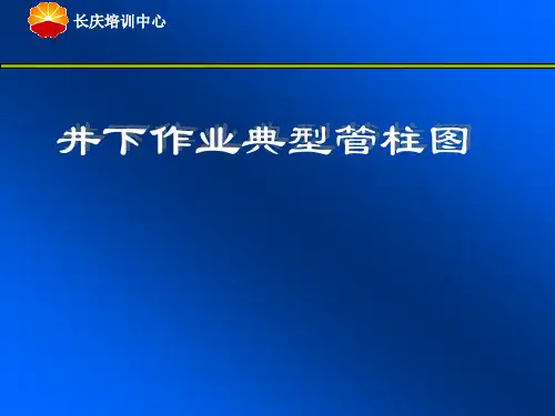 井下作业典型管柱图