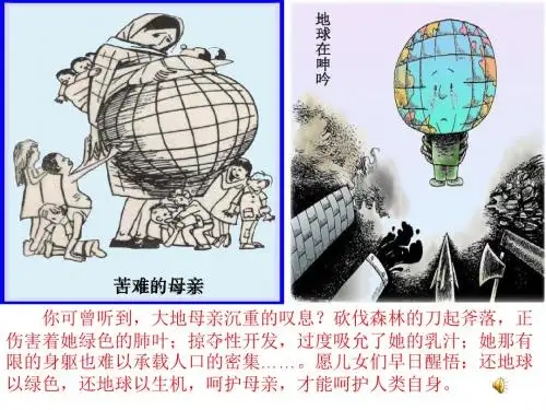 计划生育基本国策PPT