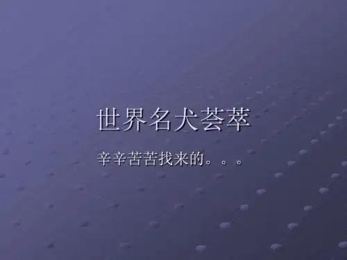 世界名犬荟萃