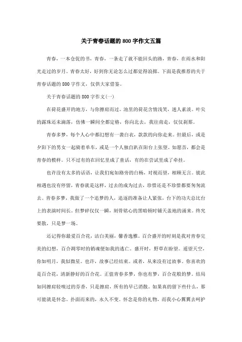 关于青春话题的800字作文五篇