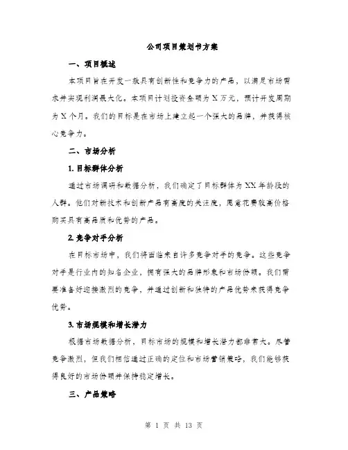 公司项目策划书方案（3篇）