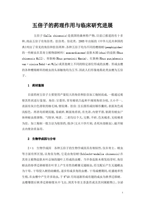 五倍子的药理作用与临床研究进展