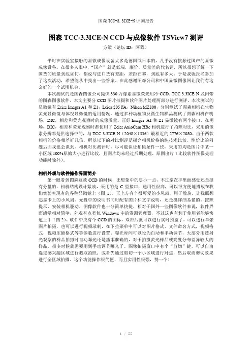 图森TCC-3.3ICE-N评测报告参考模板
