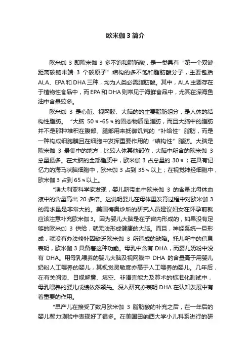 欧米伽3简介