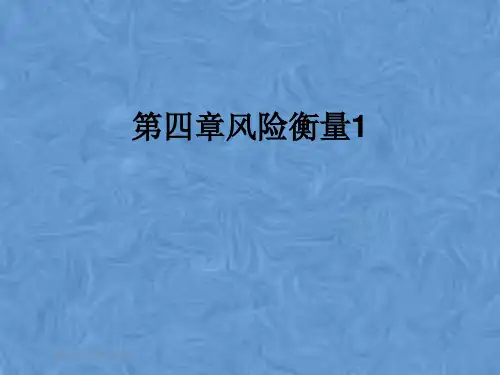 第四章风险衡量1