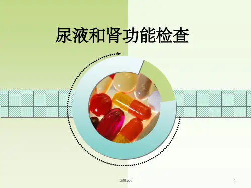 尿液和肾功能检查