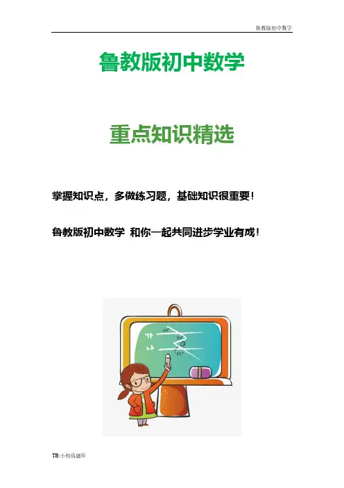 鲁教版初中数学九年级上册《反比例函数》单元练习2测试卷练习题