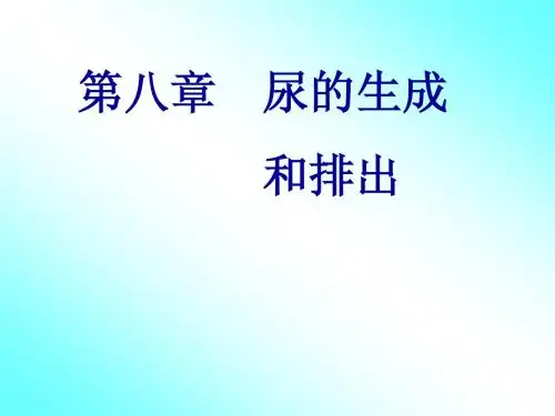 第八章尿的生成和排出
