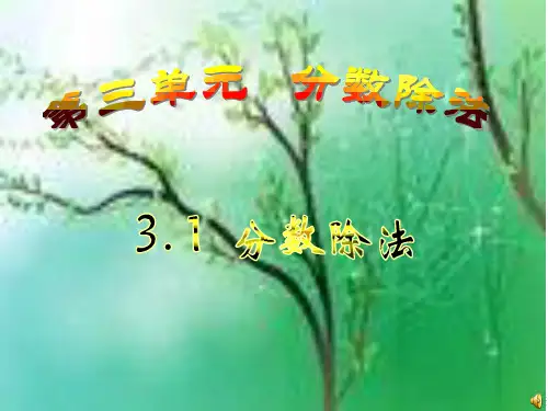 人教新课标六年级上《分数除法》PPT课件1