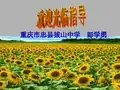 社会主义市场经济的基本特征课件