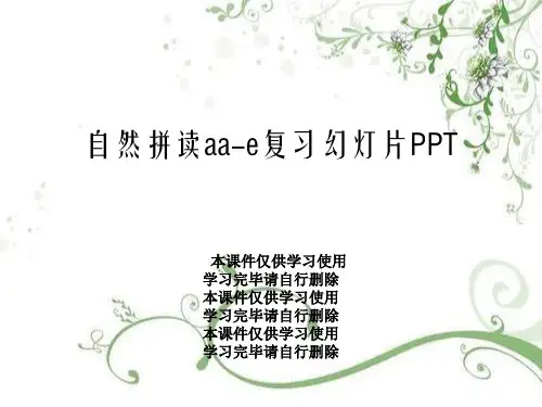 自然拼读aa-e复习幻灯片PPT