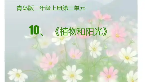 青岛版二年级科学《10植物和阳光》