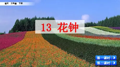 部编人教版三年级语文下册第13课《花钟》优质PPT课件